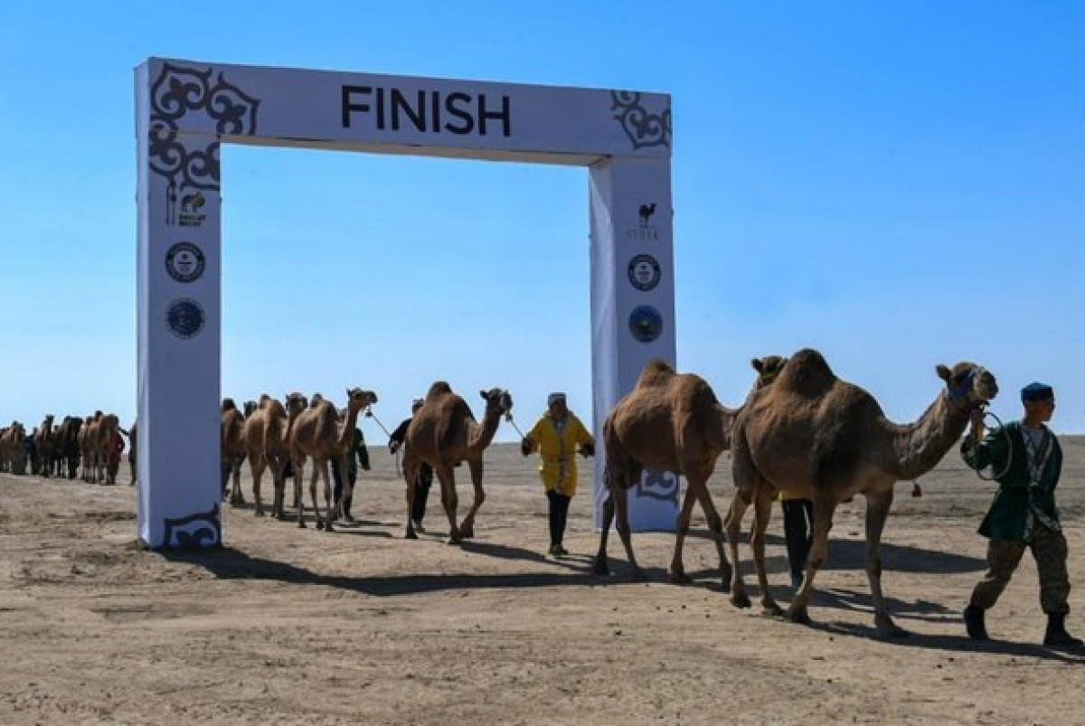 акимат области