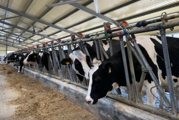 Фотография к новости: Кражи на 20 млн тенге: Прокуратура Жетісу накрыла группу скотокрадов