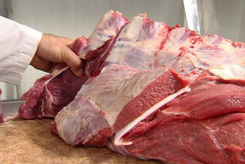 Фотография к новости: Минсельхоз: Мясо сайги допускается к продаже только после ветеринарной экспертизы