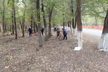 Фотография к новости: Очищено 203 гектара: "Таза Қазақстан" набирает обороты в Жетісу