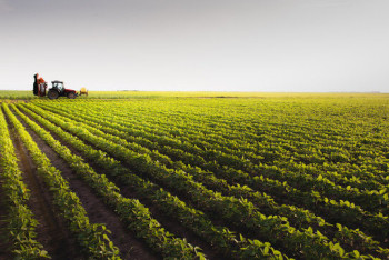 В Казахстане свыше 200 компаний используют искусственный интеллект в агросекторе