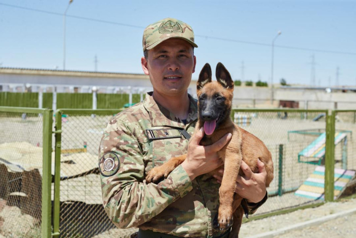 Нацгвардия