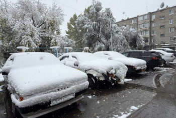 Фотография к новости: Сломанные деревья, ДТП и пробки: Аномальный снегопад парализовал Костанай