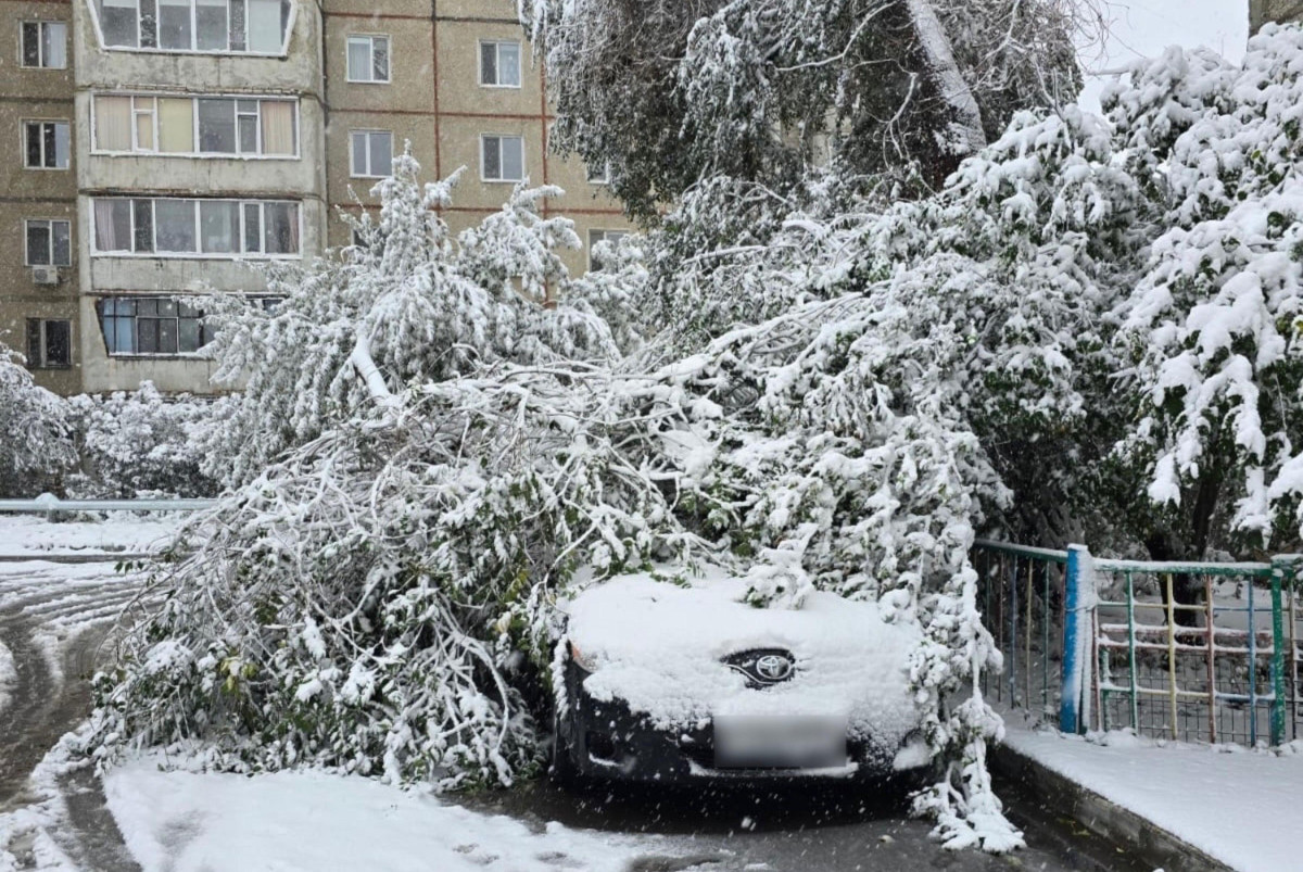 В Костанае из-за снега несколько машин оказались под завалами деревьев