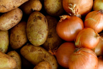 Фотография к новости: Казахстанцы стали есть больше овощей: прогноз по луку и картофелю на 2025 год