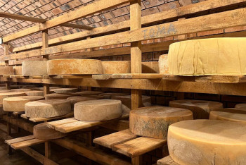 Фотография к новости: Сыр, туризм и традиции: как семейное дело помогает развивать регион в Бурабае