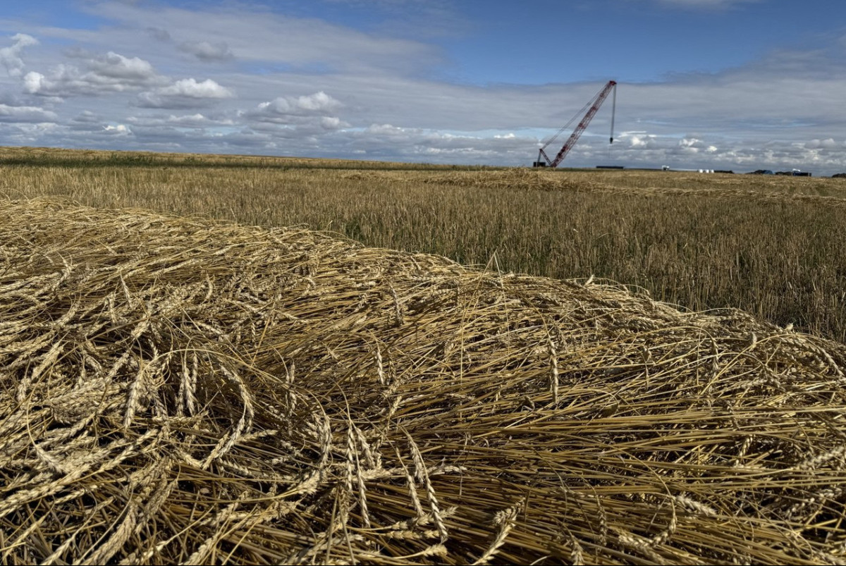 Аскар Кенжетаев. архив