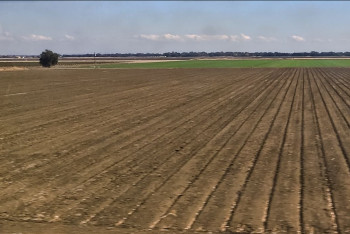 Фотография к новости: В Алатау оспаривают незаконное предоставление земель на 5 млрд тенге