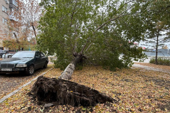 Фотография к новости: Три дня после снежного "армагеддона": В Костанае ликвидируют последствия непогоды