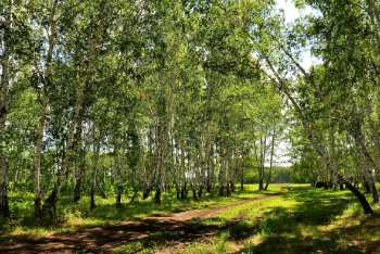 Фотография к новости: В Караганде возвращают земли и расследуют "миллиардные" экологические нарушения