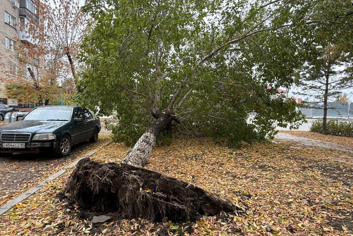 Аскар Кенжетаев.