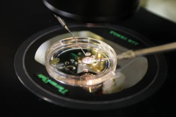 Фотография к новости: Учёные впервые создали человеческий эмбрион из ДНК клеток кожи