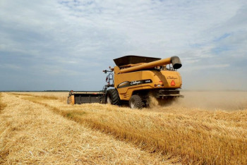 Фотография к новости: Хлебоприёмные предприятия Казахстана уличили в отказах и завышении тарифов