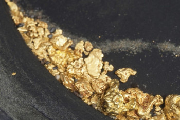 Фотография к новости: В Павлодарской области выявлены факты незаконной добычи золота и серебра