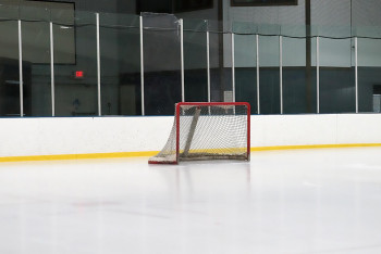 Фотография к новости: Задержан начальник хоккейной команды "Кулагер"