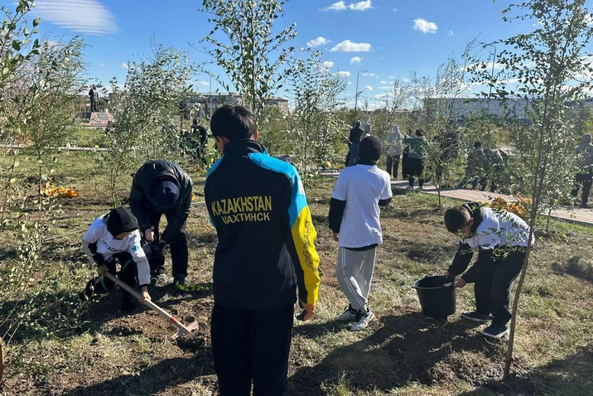 В центре Шахтинска появились сотни новых деревьев