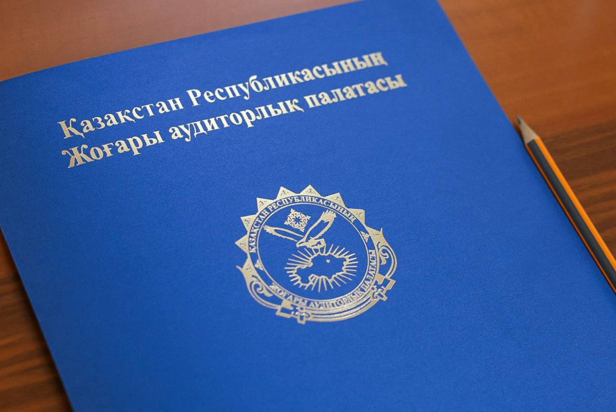 Высшая аудиторская палата