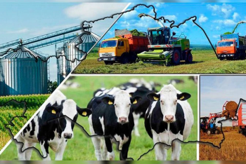 Фотография к новости: Минфин РК выявил хищения госсредств по программе "Ауыл аманаты"