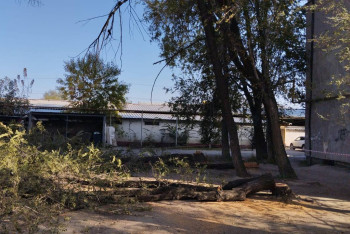 Фотография к новости: Жители поселка под Алматы выступили против застройки рядом с их домами