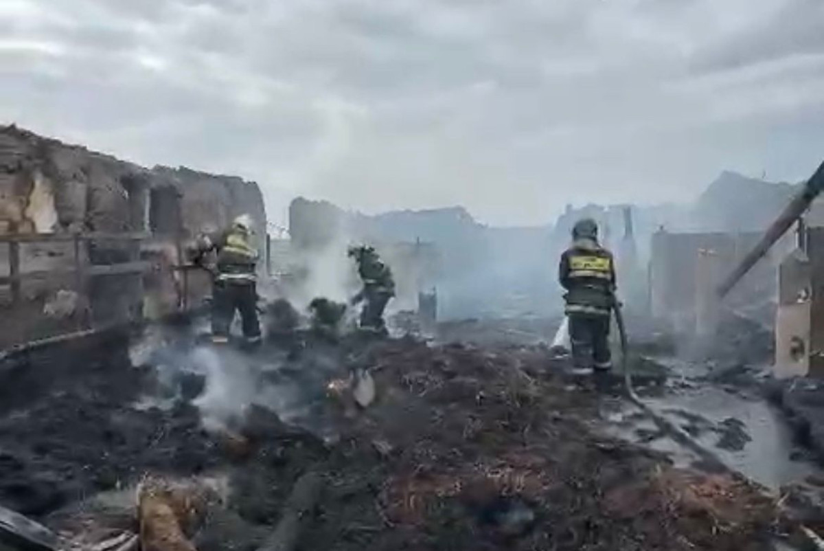 скриншот из видео