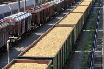 Фотография к новости: Каспийский тупик: почему Казахстан ограничил вывоз зерна через порт Актау