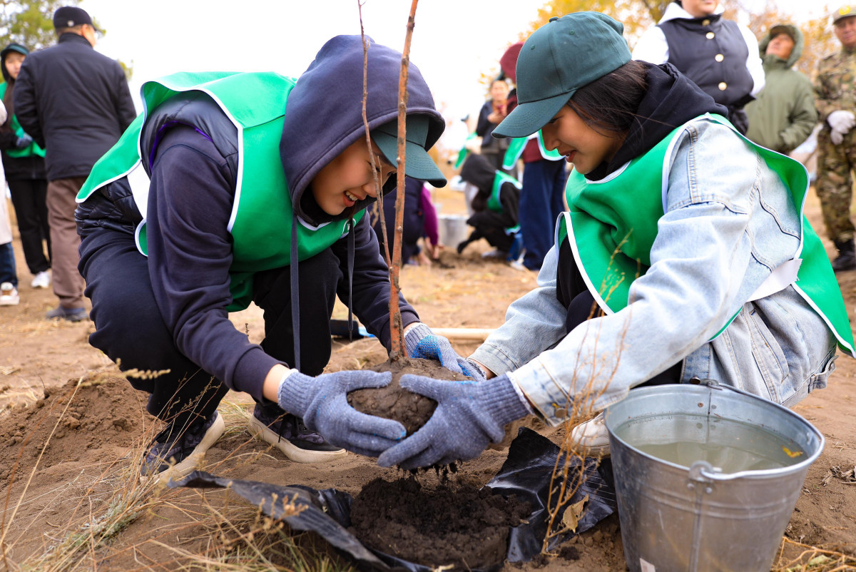 1350 деревьев высажено в Актюбинской области в рамках проекта "Школьное лесничество"