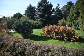 Фотография к новости: Алматы обновляется: Сатыбалды проверил Есентай, Ботсад и парк "Южный"