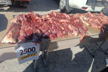 Фотография к новости: Массовые ярмарки: в Казахстане продали 170 тонн говядины и 400 тонн картофеля