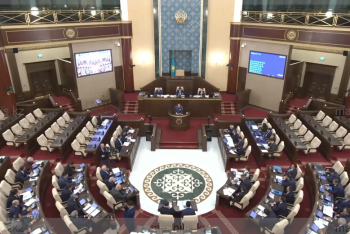 Фотография к новости: Минкультуры может не справиться с профилактикой бытового насилия — депутат Мажилиса