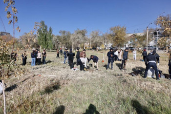 Фотография к новости: В Ұлытау прошли массовые субботники и посадка деревьев