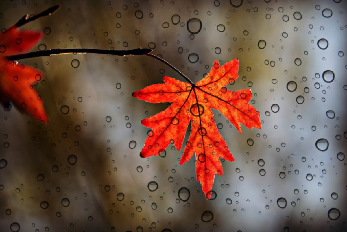 pixabay.com