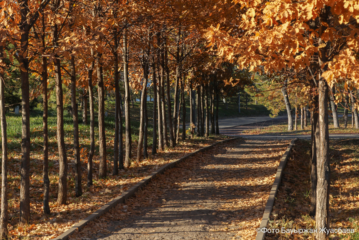 Какая погода ждет казахстанцев в ближайшие выходные