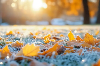 Ветер, туман и заморозки: где в Казахстане объявлено штормовое предупреждение