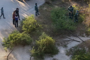 В акимате Актау объяснили вырубку деревьев при установке детской площадки