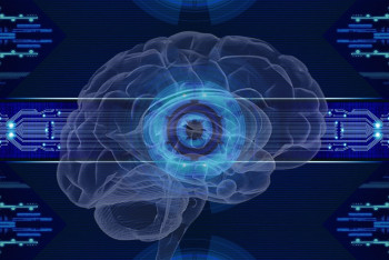 Фотография к новости: Появится ли в Казахстане виртуальный министр