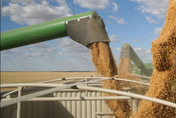 Фотография к новости: Из степей - в Африку и Европу: Казахстан расширяет географию зернового экспорта