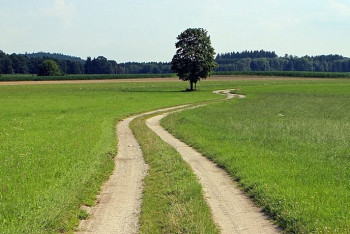 Фотография к новости: Крестьянин отсудил у акима 382 гектара земли в Жамбылской области