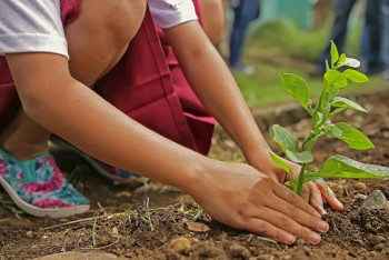 Токаев: Акция "Таза Қазақстан" изменила экологическое сознание граждан