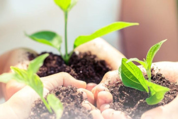 Фотография к новости: В Казахстане растёт количество "зеленых детских садов"