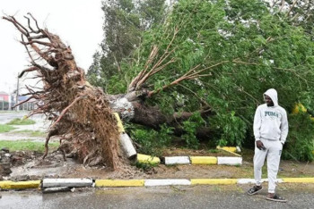 Фотография к новости: Смертельный ураган "Мелисса" обрушился на Ямайку
