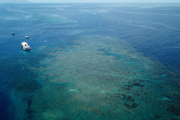 Фотография к новости: Смерть на острове: пожилую туристку забыли во время экскурсии в Австралии