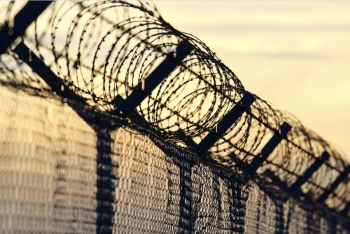 Фотография к новости: Пограничная служба КНБ пресекла контрабанду оружия и валюты на миллиарды