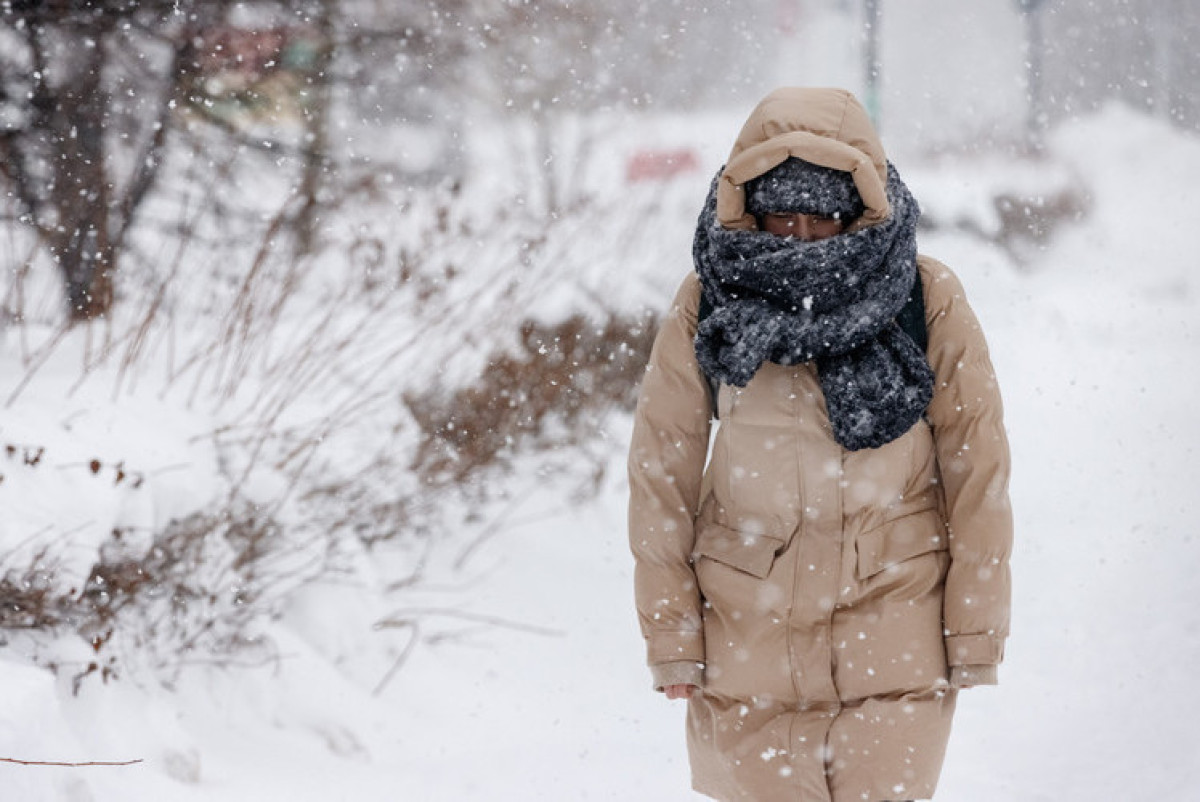 «БИЗНЕС Online»