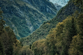 Фотография к новости: Группа туристов заблудилась в Каркаралинских горах