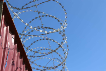 Фотография к новости: Телефон в печенье: в Мангистау пытались передать гаджет в СИЗО