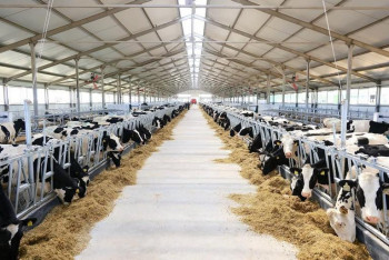 Фотография к новости: Какие современные технологии внедряют в сёлах Карагандинской области