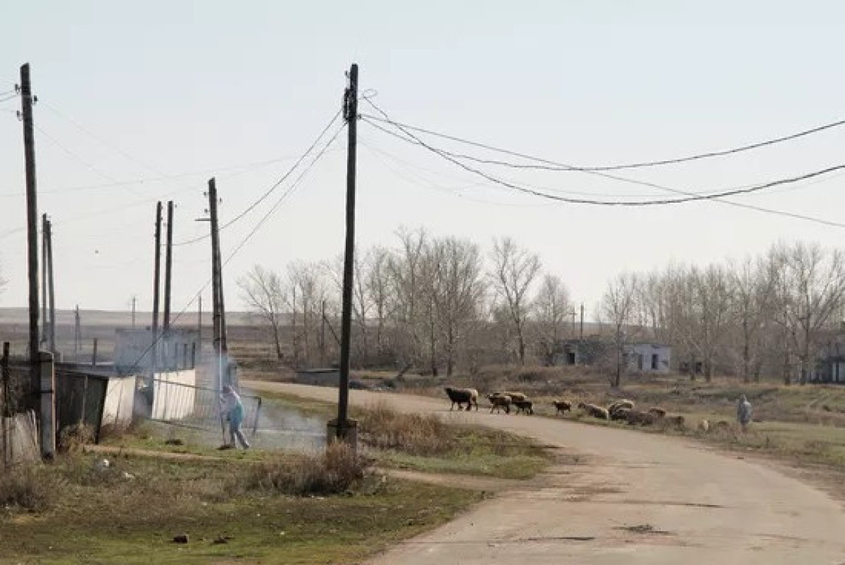 Дмитрий Виноградов