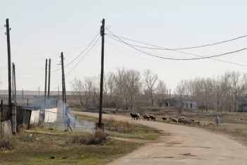 Фотография к новости: Сельские регионы должны развиваться наравне с промышленными центрами - Жумангарин