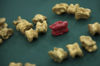 Фотография к новости: В Туркестане стартовал чемпионат Азии по асық ату