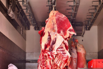 Фотография к новости: Казахстан готов стать крупным экспортером мяса